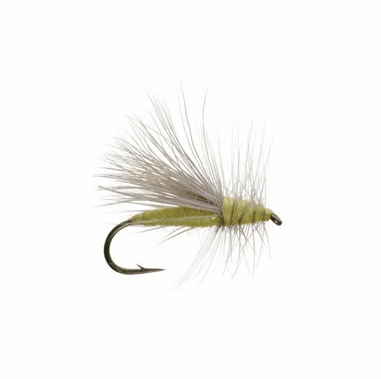 Caddis Fly Henry's Fork Yellow Sally