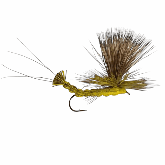 caddis fly Hex Paradrake
