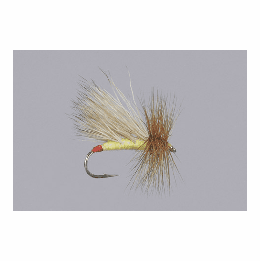 caddis fly Hi-Tie Sally