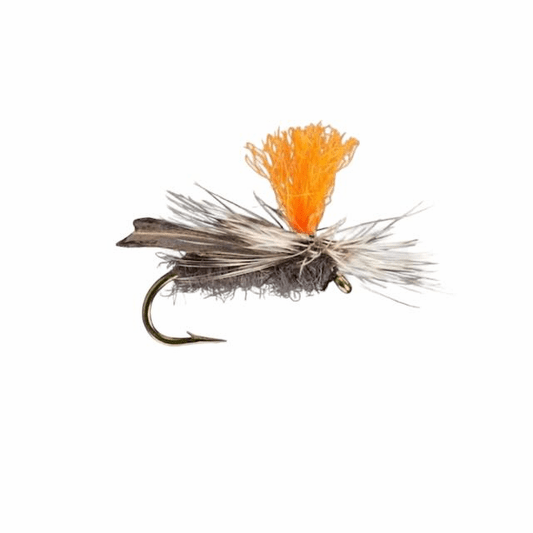 caddis fly Hi Vis Caddis