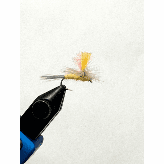 caddis fly Hi Vis Pale Morning Dun
