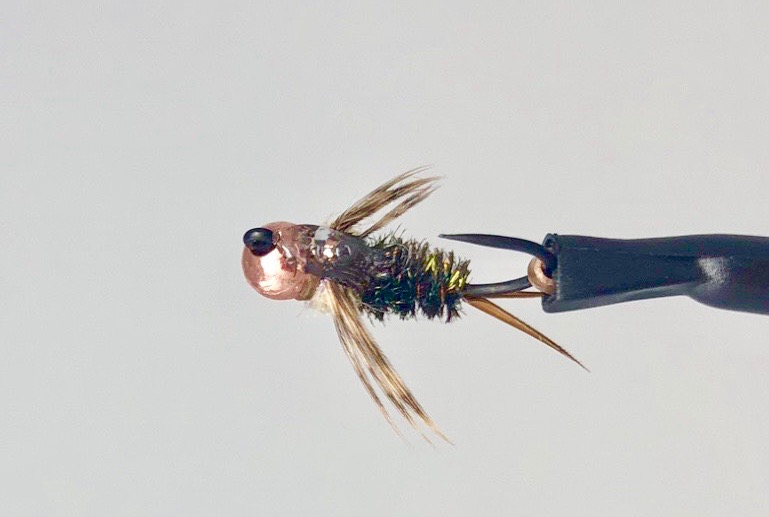 Caddis Fly Improved Jigged Tungsten 20 Incher