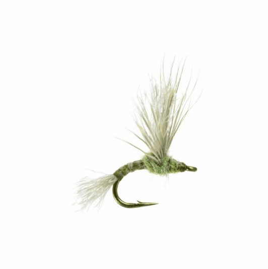 caddis fly Improved Sparkle Dun Baetis