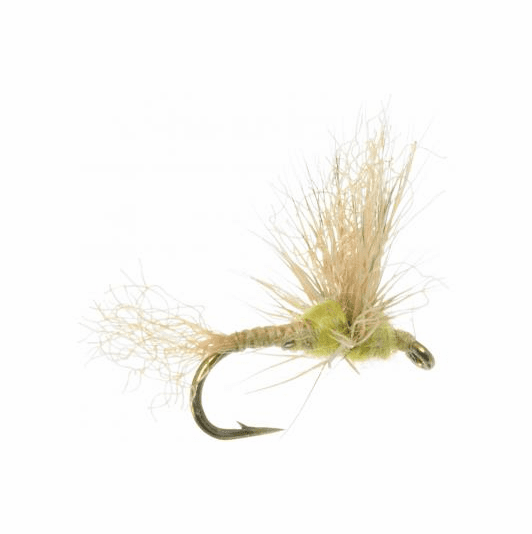 caddis fly Improved Sparkle Dun PMD