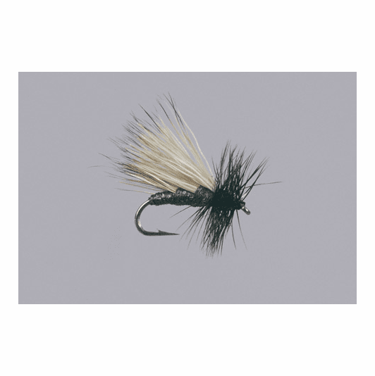 caddis fly J's Black Hi-Tie Caddis