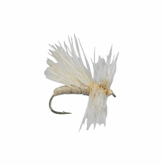 caddis fly J's Hie Tie Caddis