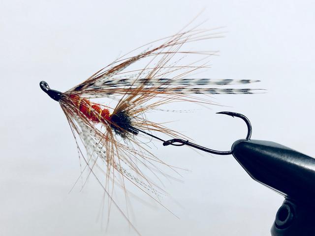 Caddis Fly Jim Sens Steelhead Flies