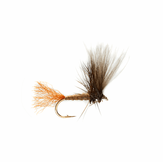 caddis fly Keegan's March Brown Kripple