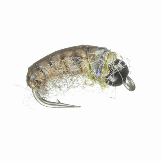 caddis fly Keller's Double Bead Payczech Nymph