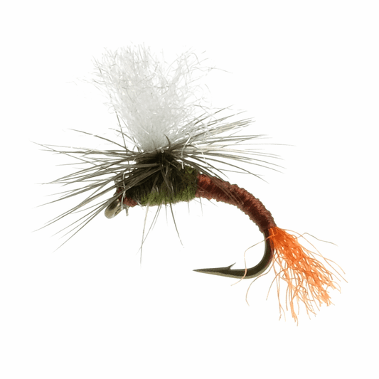 Caddis Fly Klinkhammer BWO