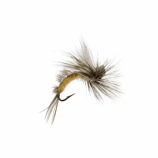 caddis fly Koz's Sexy Hexy Emerger