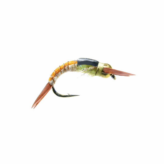 caddis fly Kyle's Beadhead Yellow Sally