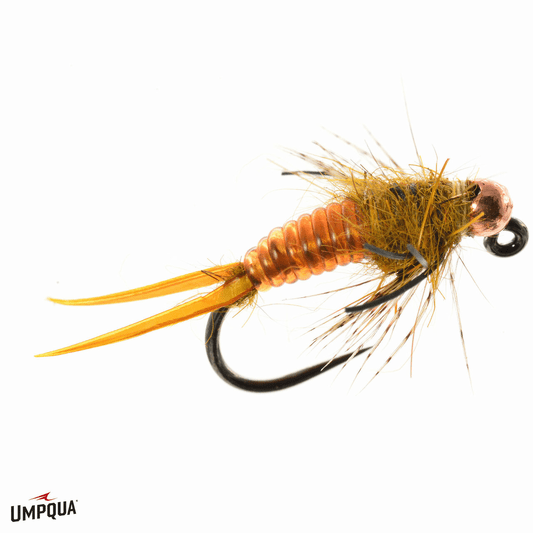 caddis fly Lazy J Stone