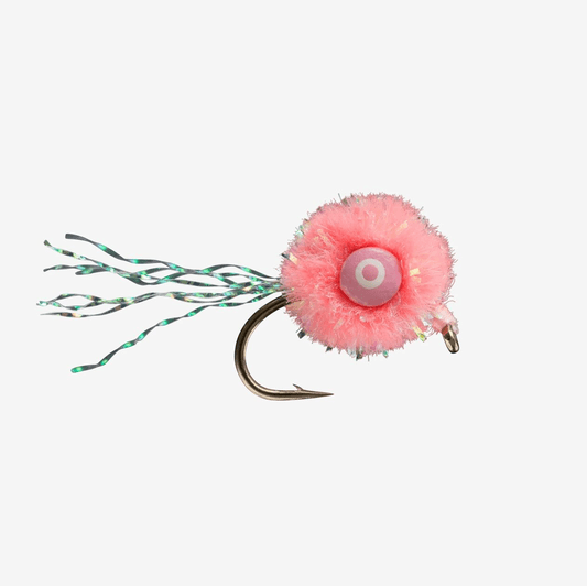 Caddis Fly Lead Eyed Egg