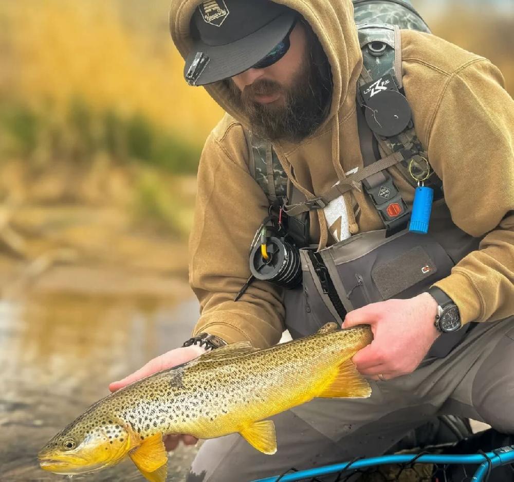 Caddis Fly Lid Rig Flywheel