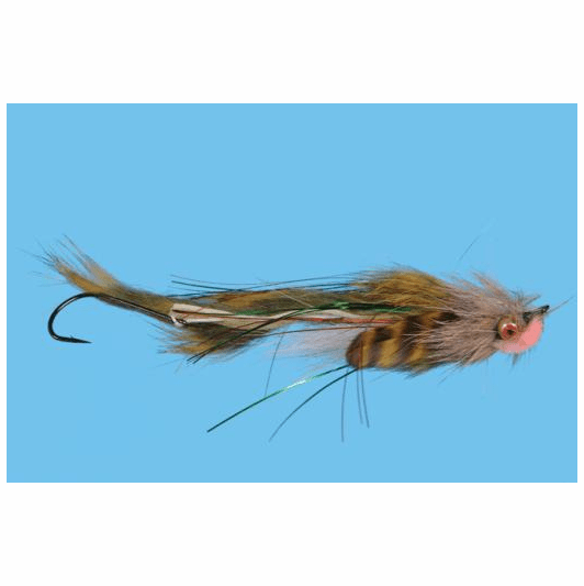caddis fly Loop Sculpin Olive