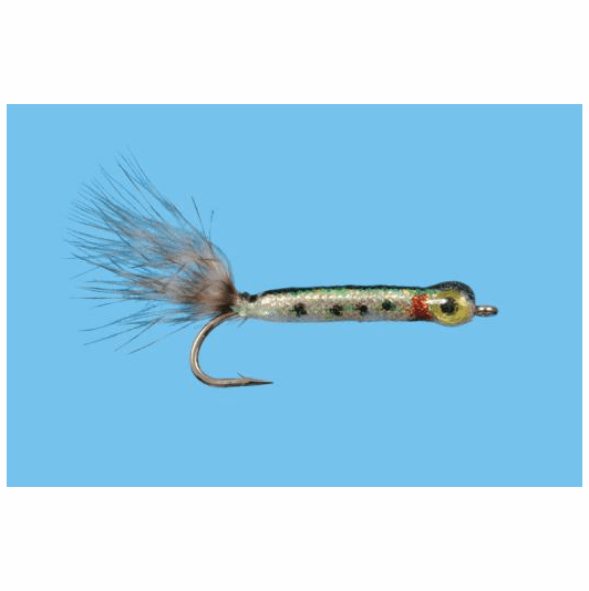 caddis fly Lord of the Frys #6