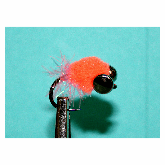 caddis fly Lowly Glowly