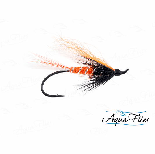 caddis fly Mack's Canyon