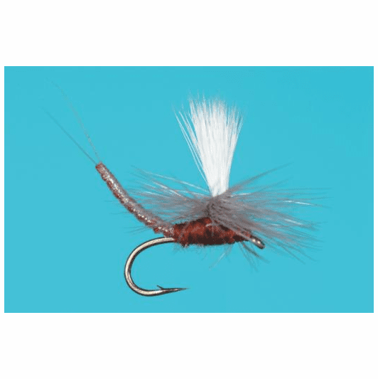 caddis fly Mahogany Parachute Extended Body