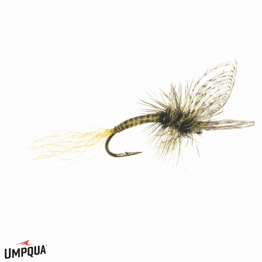Caddis Fly Maldos PMD Emerger