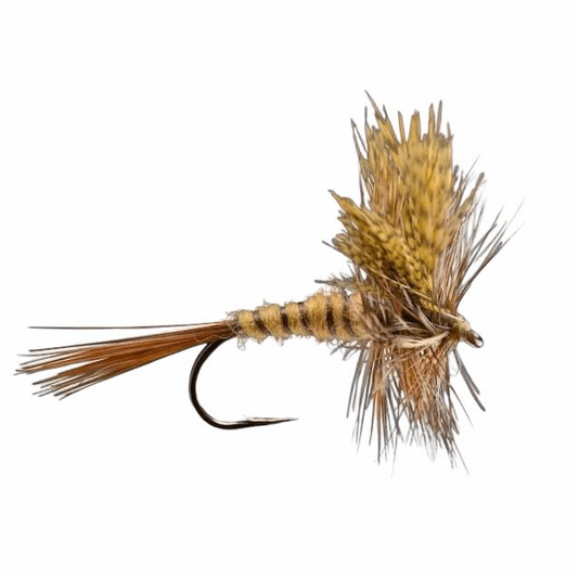 Caddis Fly March Brown Western