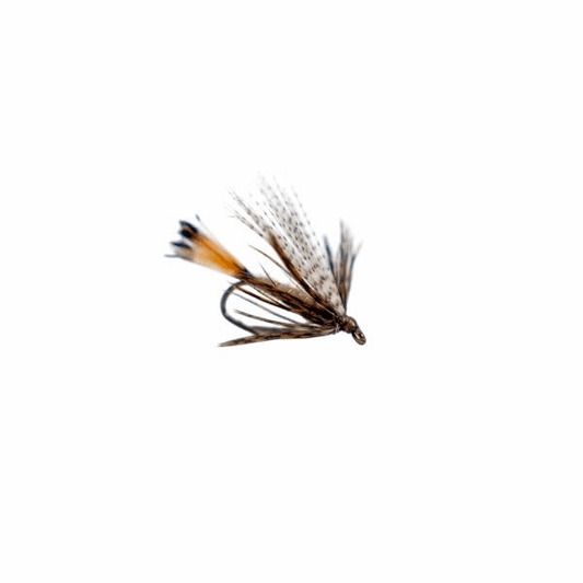 caddis fly March Brown Wet