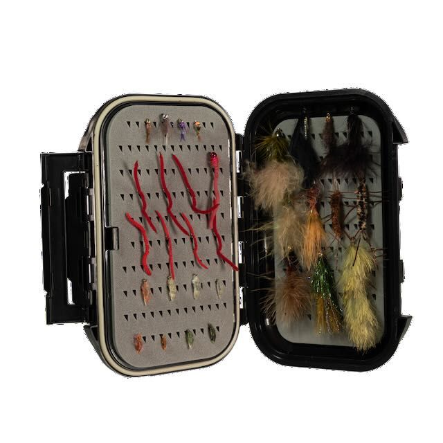 caddis fly Medium Go To Box