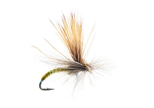 Caddis Fly Mercer's Missing Link Caddis Pattern