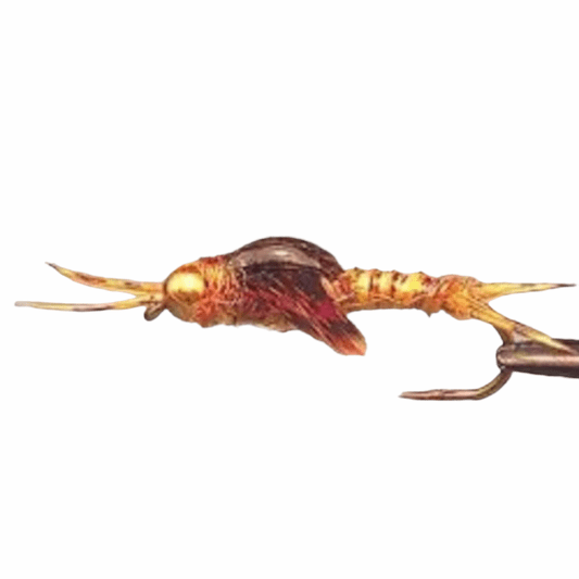 caddis fly Mercer's Poxy Back Stonefly Nymph