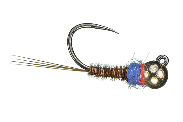 caddis fly Montana Fly Company Jigged Frenchie