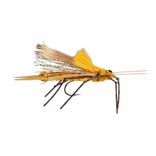 Caddis Fly Morrish Fluttering Stone