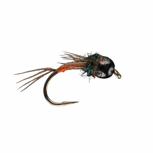 caddis fly Morrish Norwester Tungsten Bead Nymph