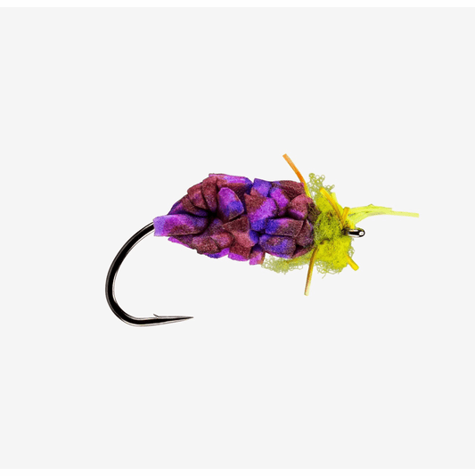 caddis fly Mulberry Fly