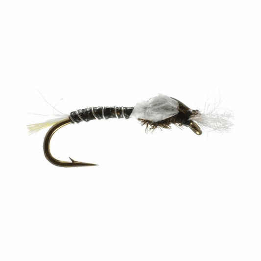caddis fly Murphy's Ko Rana Midge