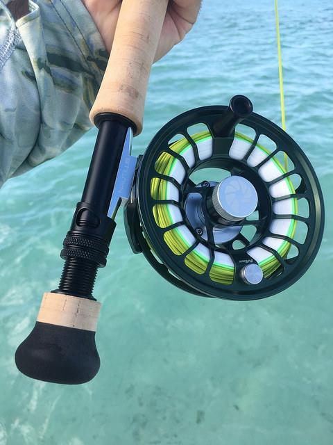 Caddis Fly Nautilus X Series Fly Fishing Reels