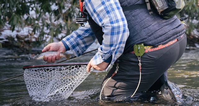 Caddis Fly Net Man Net System