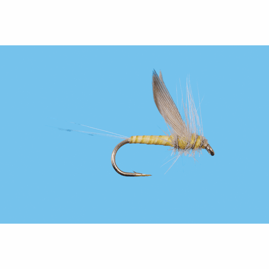 caddis fly No Hackle Dun Pale Morning Dun