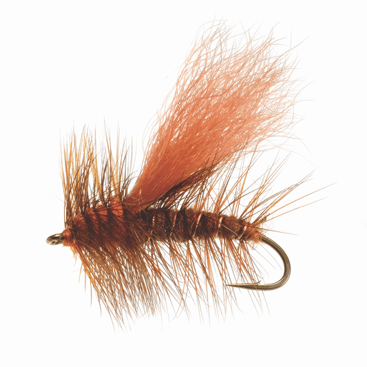 Caddis Fly Norm Woods Special