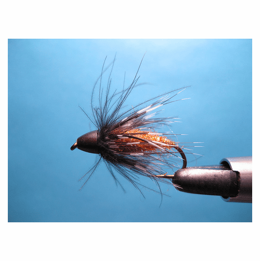 Caddis Fly October Phat Ass