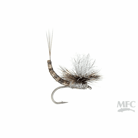 caddis fly On Point Para Wulff