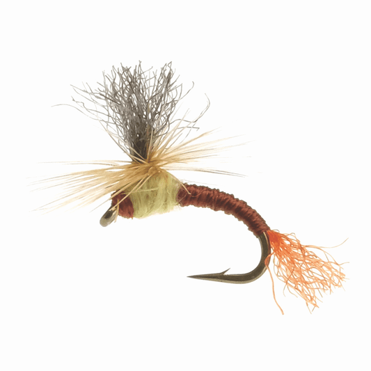 caddis fly Pale Morning Dun Klinkhammer