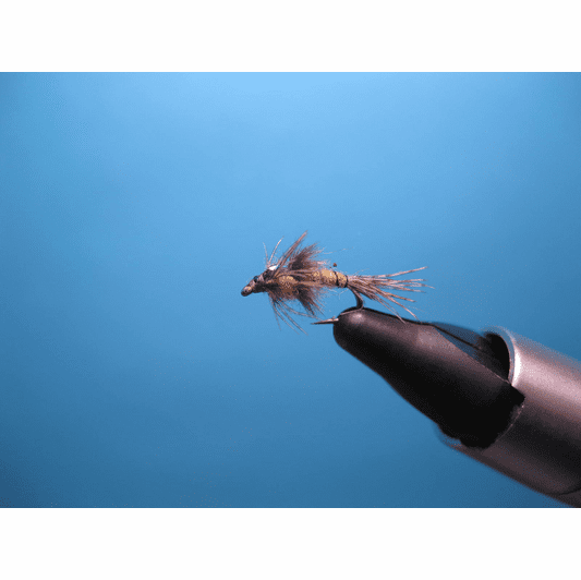 caddis fly Pandemic May BWO