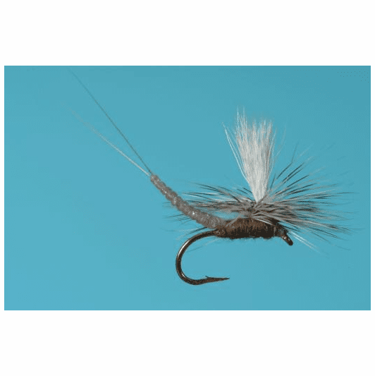 caddis fly Parachute Extended Body Callibaetis