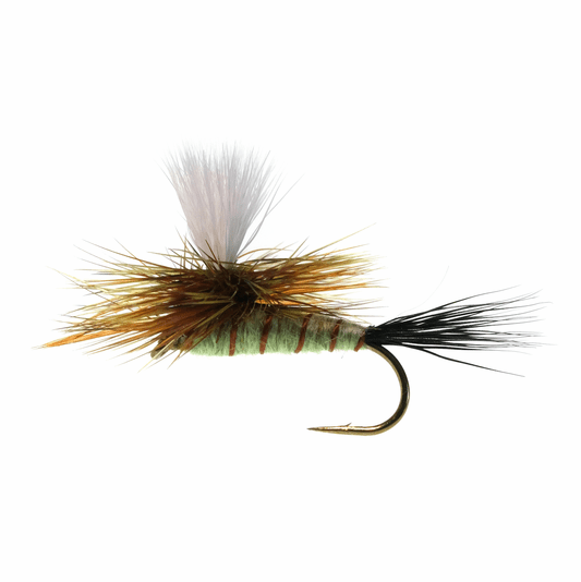 caddis fly Parachute Green Drake Standard
