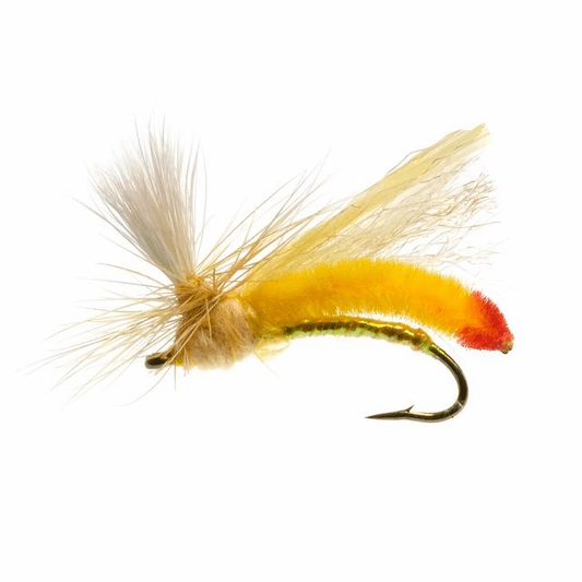 caddis fly Parachute Headlight Yellow Sally