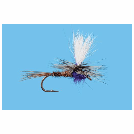 Caddis Fly Parachute Purple Rooster