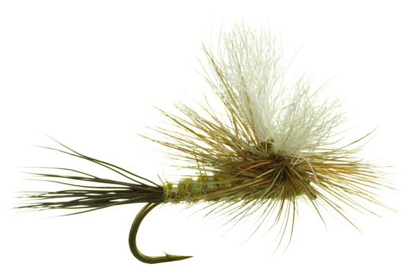 caddis fly Parawulff Adams