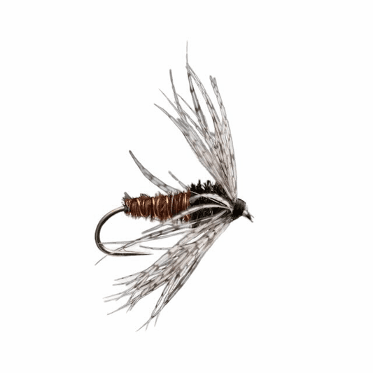 caddis fly Partridge and Pheasant