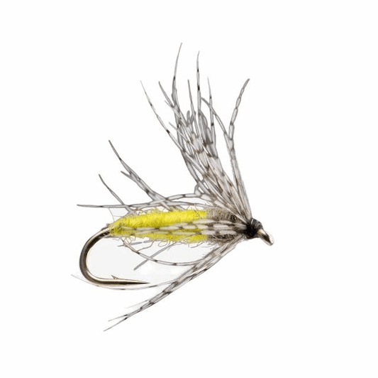 caddis fly Partridge and Yellow